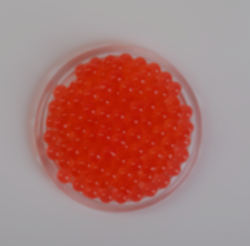 ДЖУС БАБЛ со вкусом Персика 1 кг 10-11 мм